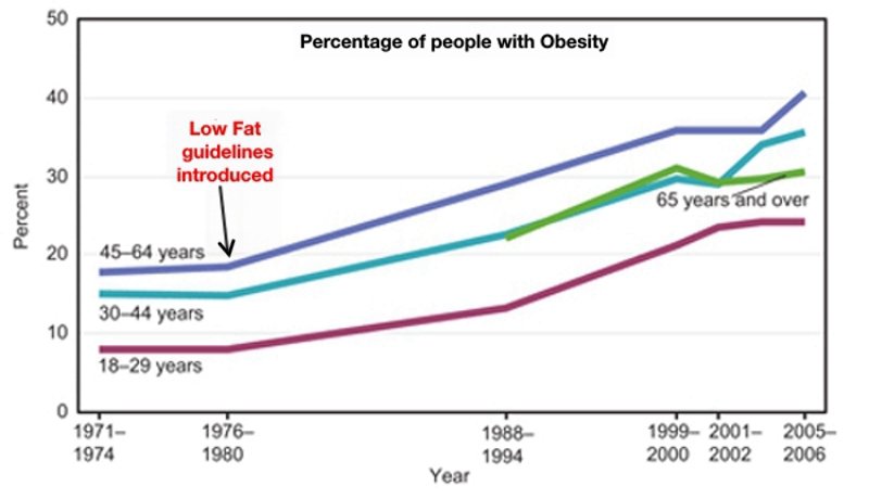 obesity-rate-graph